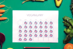 ALIMENTATION: tendance végétale