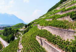 Murailles Brut: les bulles des amoureux