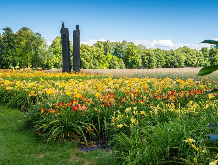 Vue panoramique des jardins du Château de Vullierens avec des lys-hémérocalles en pleine floraison.