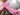 Ruban rose symbole de la lutte contre le cancer du sein, illustrant le témoignage d’Emmanuella Jean Mary pour Octobre Rose