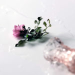 Visuel de la campagne Stop Féminicide, photo de Franziska Willimann