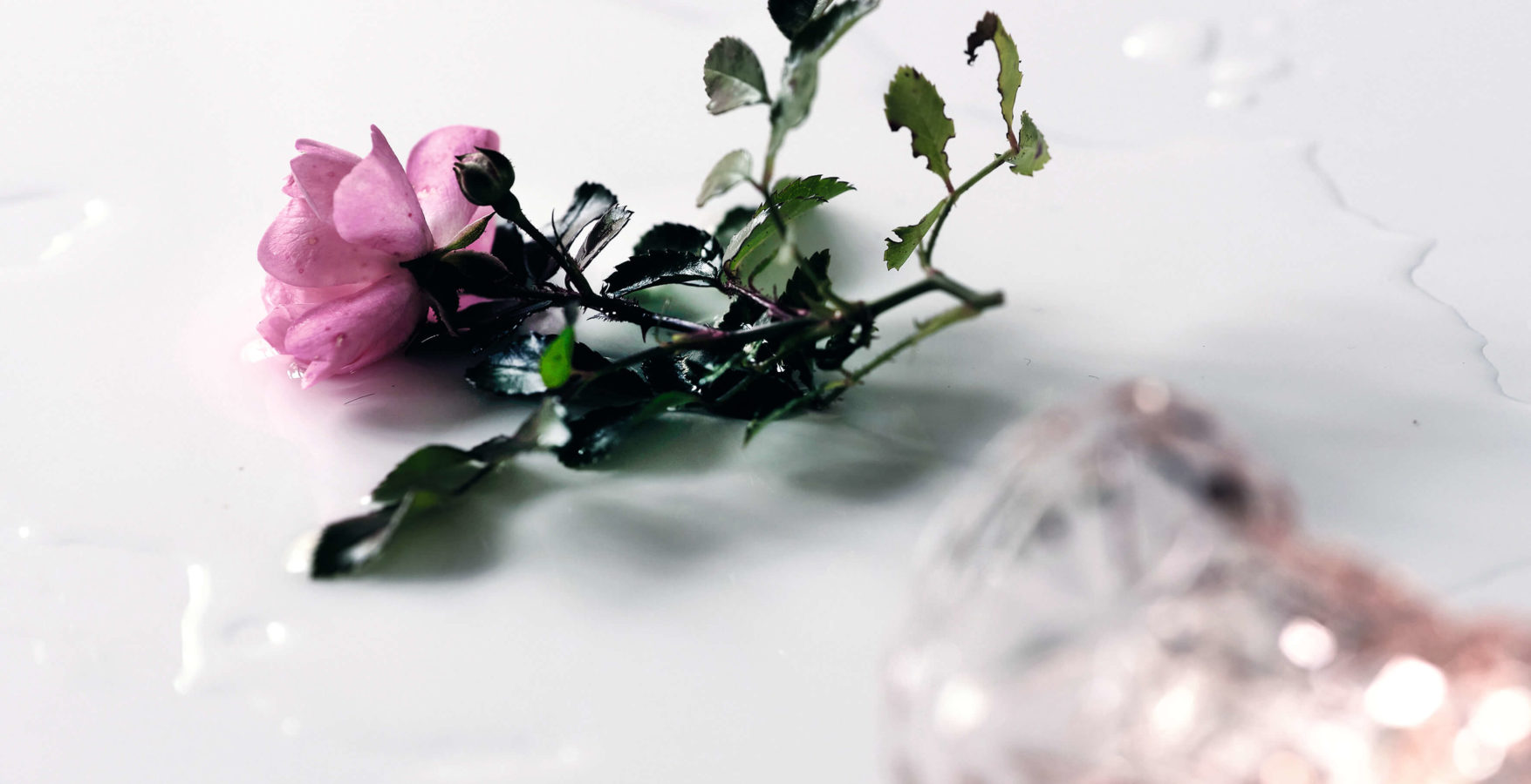 Visuel de la campagne Stop Féminicide, photo de Franziska Willimann