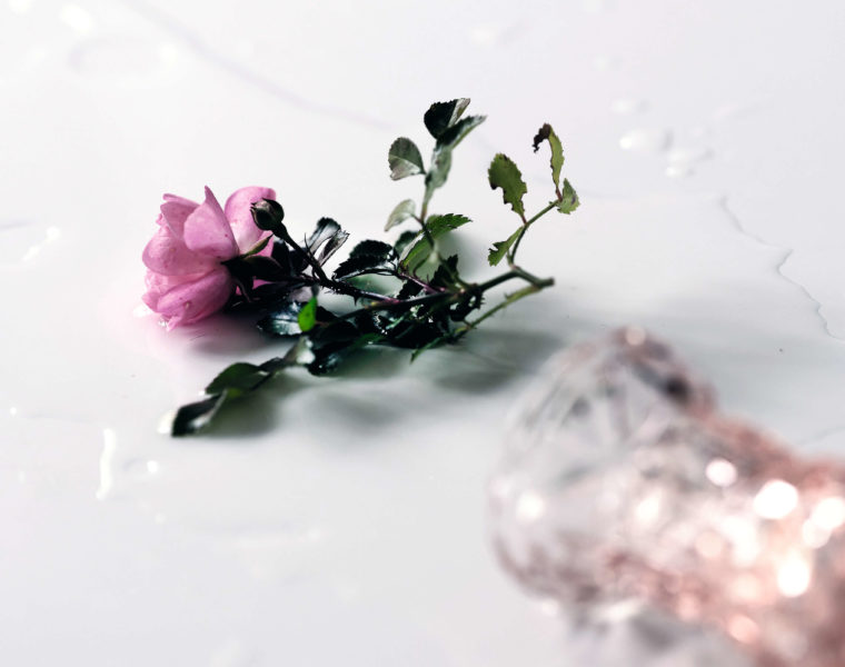 Visuel de la campagne Stop Féminicide, photo de Franziska Willimann