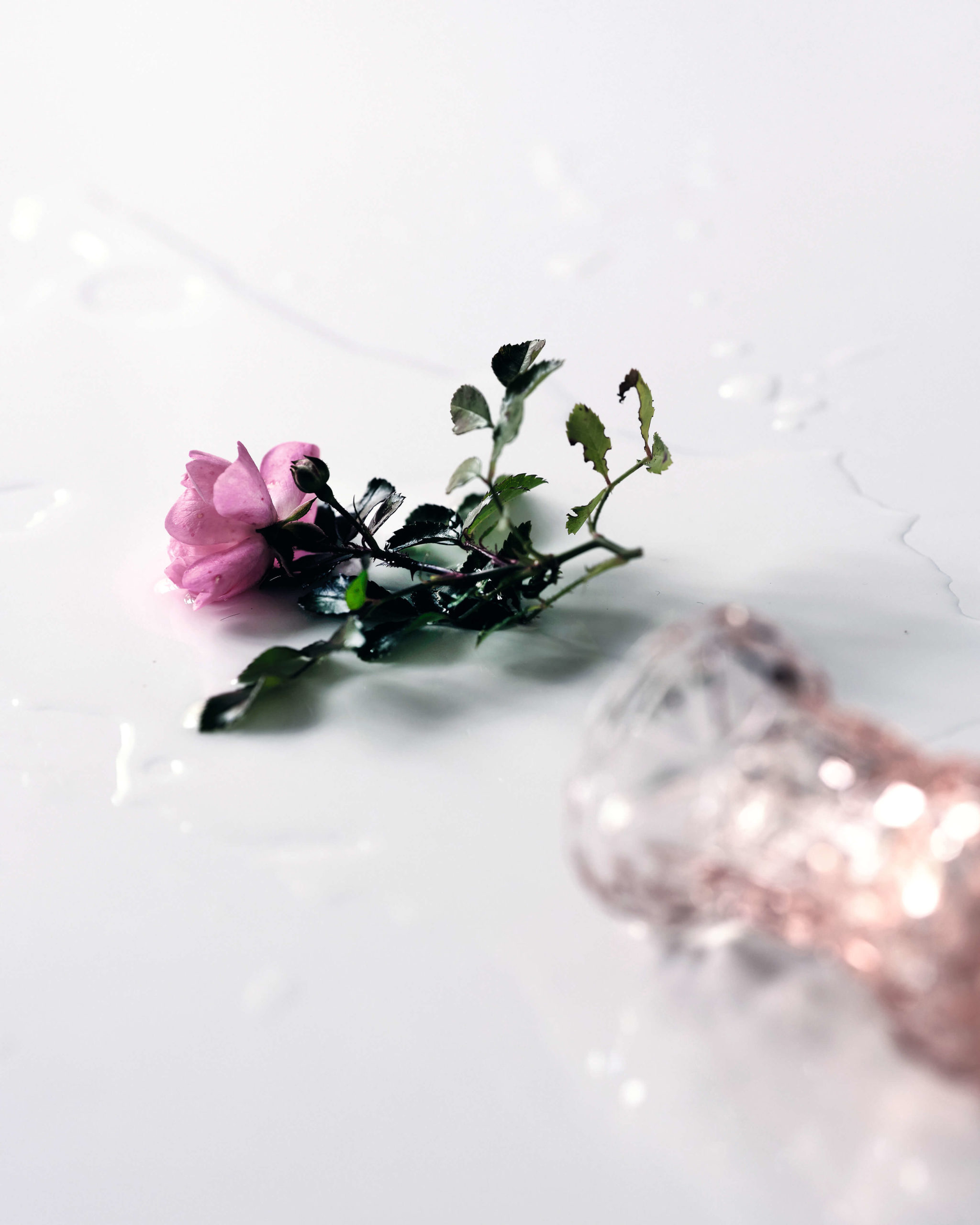 Visuel Stop Féminicide, photo de Franziska Willimann